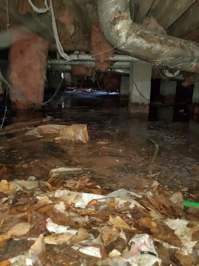Crawl space flood assessment for Leak Detection & Repair in Zimmerman