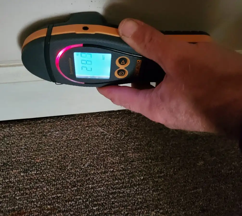 Moisture detection at baseboard during Mold Inspection & Testing in Zimmerman
